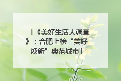 《美好生活大调查》：合肥上榜“美好焕新”典范城市