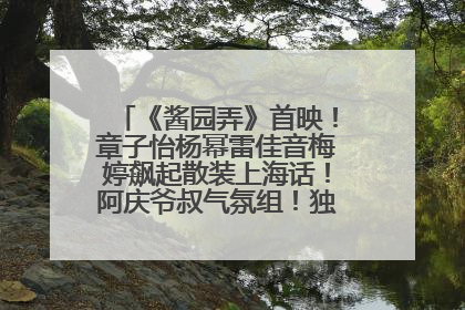 《酱园弄》首映！章子怡杨幂雷佳音梅婷飙起散装上海话！阿庆爷叔气氛组！独独没见他……