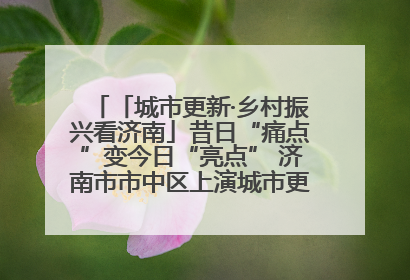 「城市更新·乡村振兴看济南」昔日“痛点”变今日“亮点” 济南市市中区上演城市更新“三部曲”
