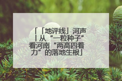 「地评线」河声丨从“一粒种子”看河南“两高四着力”的落地生根
