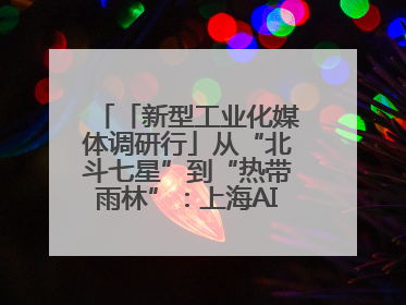 「新型工业化媒体调研行」从“北斗七星”到“热带雨林”：上海AI生态的技术商业共生密码