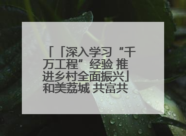 「深入学习“千万工程”经验 推进乡村全面振兴」和美荔城 共富共美 荔城区扎实推进乡村振兴工作