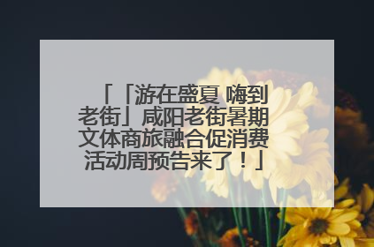 「游在盛夏 嗨到老街」咸阳老街暑期文体商旅融合促消费活动周预告来了！