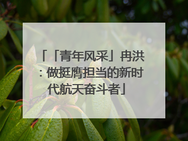 「青年风采」冉洪：做挺膺担当的新时代航天奋斗者