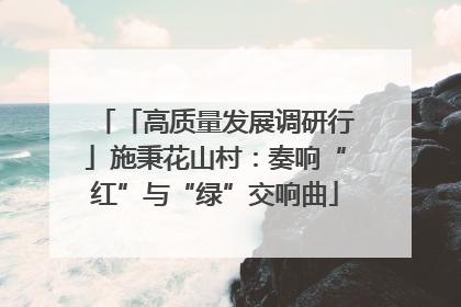 「高质量发展调研行」施秉花山村：奏响“红”与“绿”交响曲