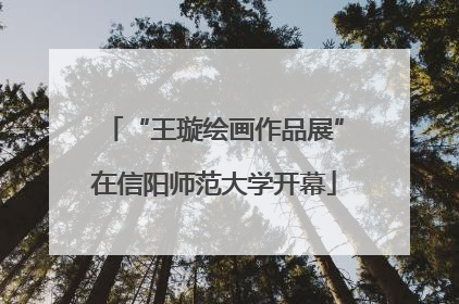 “王璇绘画作品展”在信阳师范大学开幕