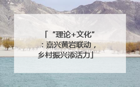 “理论+文化”：嘉兴黄岩联动，乡村振兴添活力
