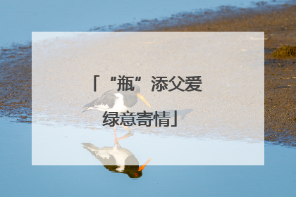 “瓶”添父爱 绿意寄情