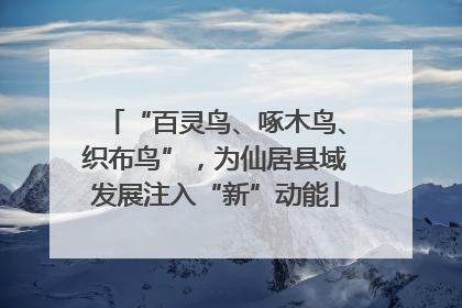 “百灵鸟、啄木鸟、织布鸟”，为仙居县域发展注入“新”动能
