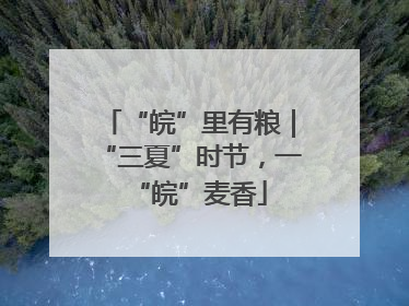 “皖”里有粮｜“三夏”时节，一“皖”麦香