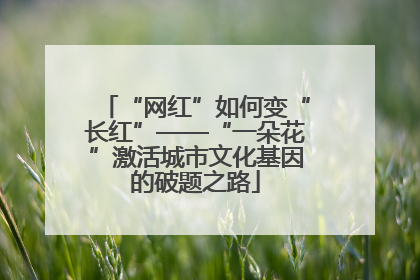 “网红”如何变“长红”——“一朵花”激活城市文化基因的破题之路