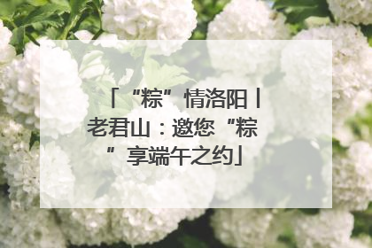 “粽”情洛阳丨老君山：邀您“粽”享端午之约