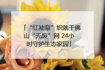 “红袖章”织就千佛山“无废”网 24小时守护生态家园