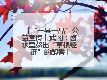 “一县一品”公益宣传丨武冈：卤水里熬出“草根经济”的醇香
