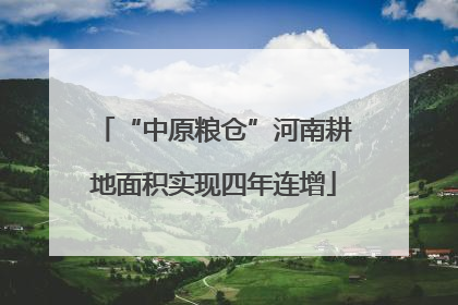 “中原粮仓”河南耕地面积实现四年连增