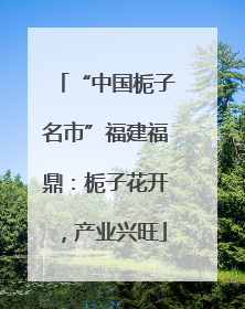 “中国栀子名市”福建福鼎：栀子花开，产业兴旺