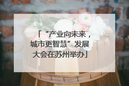 “产业向未来，城市更智慧”发展大会在苏州举办