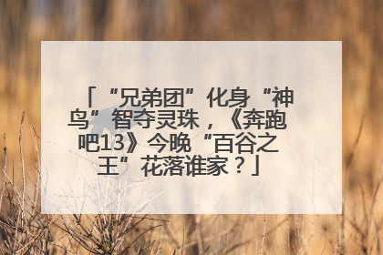 “兄弟团”化身“神鸟”智夺灵珠，《奔跑吧13》今晚“百谷之王”花落谁家？