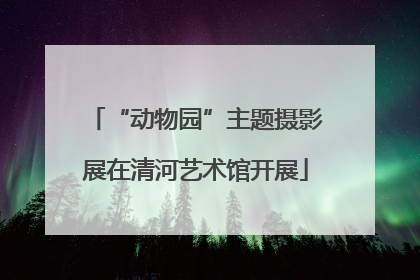 “动物园”主题摄影展在清河艺术馆开展