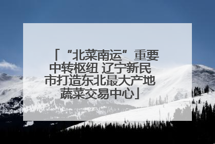 “北菜南运”重要中转枢纽 辽宁新民市打造东北最大产地蔬菜交易中心