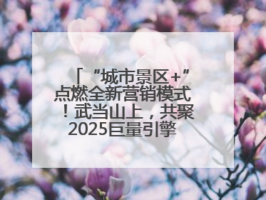 “城市景区+”点燃全新营销模式！武当山上，共聚2025巨量引擎城市生态大会！