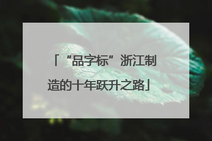 “品字标”浙江制造的十年跃升之路