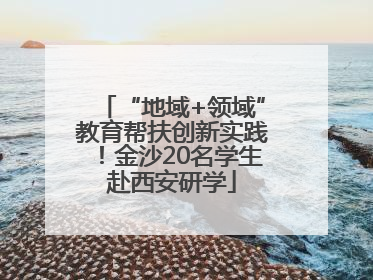 “地域+领域”教育帮扶创新实践！金沙20名学生赴西安研学