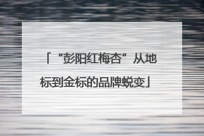 “彭阳红梅杏”从地标到金标的品牌蜕变