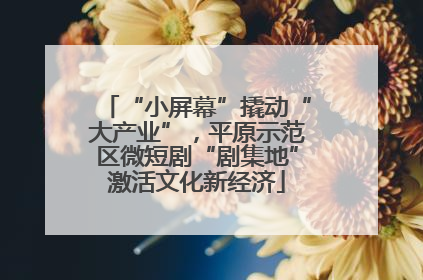 “小屏幕”撬动“大产业”，平原示范区微短剧“剧集地”激活文化新经济
