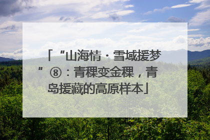 “山海情・雪域援梦”⑧：青稞变金稞，青岛援藏的高原样本