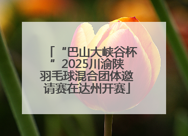 “巴山大峡谷杯”2025川渝陕羽毛球混合团体邀请赛在达州开赛