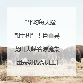 “平均每天捡一部手机”！鲁山县尧山大峡谷漂流集团表彰优秀员工