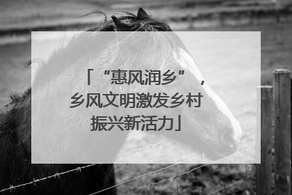 “惠风润乡”，乡风文明激发乡村振兴新活力