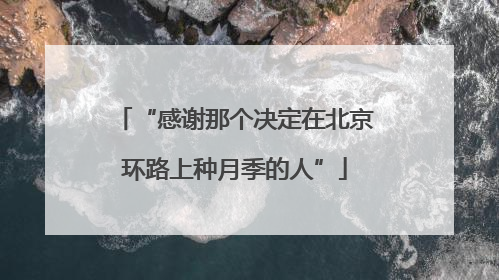 “感谢那个决定在北京环路上种月季的人”