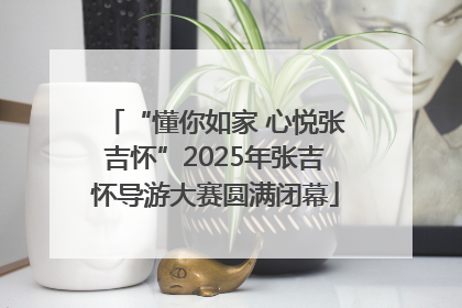 “懂你如家 心悦张吉怀”2025年张吉怀导游大赛圆满闭幕