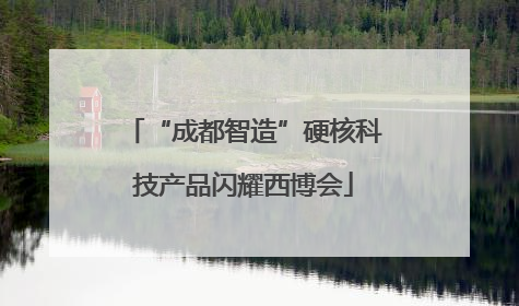 “成都智造”硬核科技产品闪耀西博会