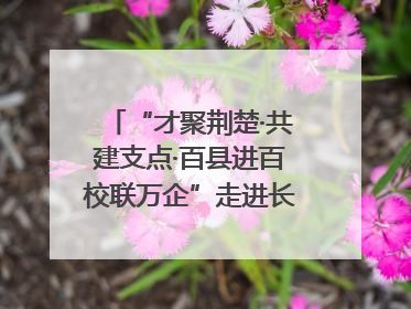 “才聚荆楚·共建支点·百县进百校联万企”走进长江大学文理学院