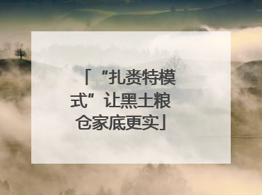 “扎赉特模式”让黑土粮仓家底更实