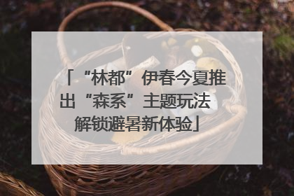 “林都”伊春今夏推出“森系”主题玩法 解锁避暑新体验