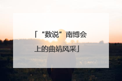 “数说”南博会上的曲靖风采
