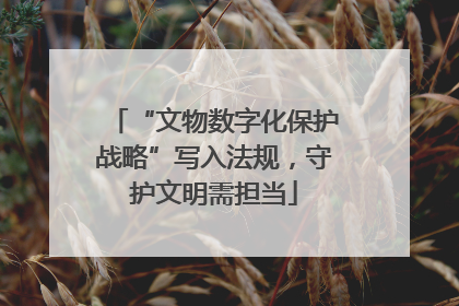 “文物数字化保护战略”写入法规，守护文明需担当