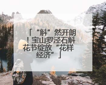 “斛”然开朗！宝山罗泾石斛花节绽放“花样经济”