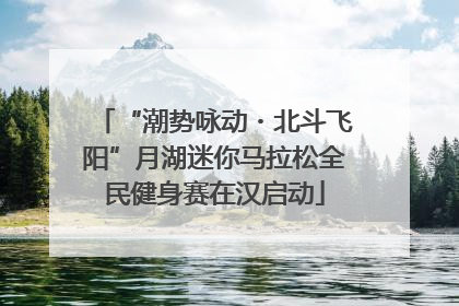 “潮势咏动・北斗飞阳”月湖迷你马拉松全民健身赛在汉启动