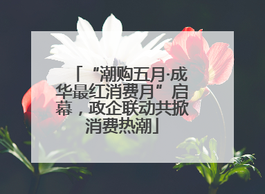“潮购五月·成华最红消费月”启幕，政企联动共掀消费热潮