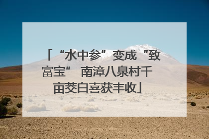 “水中参”变成“致富宝” 南漳八泉村千亩茭白喜获丰收