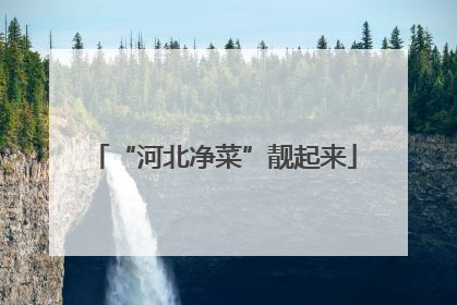 “河北净菜”靓起来