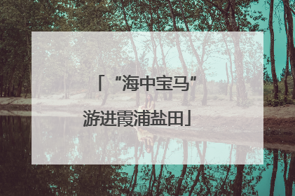 “海中宝马”游进霞浦盐田
