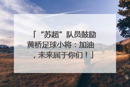 “苏超”队员鼓励黄桥足球小将：加油，未来属于你们！