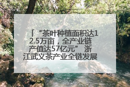 “茶叶种植面积达12.5万亩，全产业链产值达57亿元” 浙江武义茶产业全链发展“加速度”