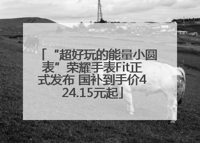 “超好玩的能量小圆表”荣耀手表Fit正式发布 国补到手价424.15元起